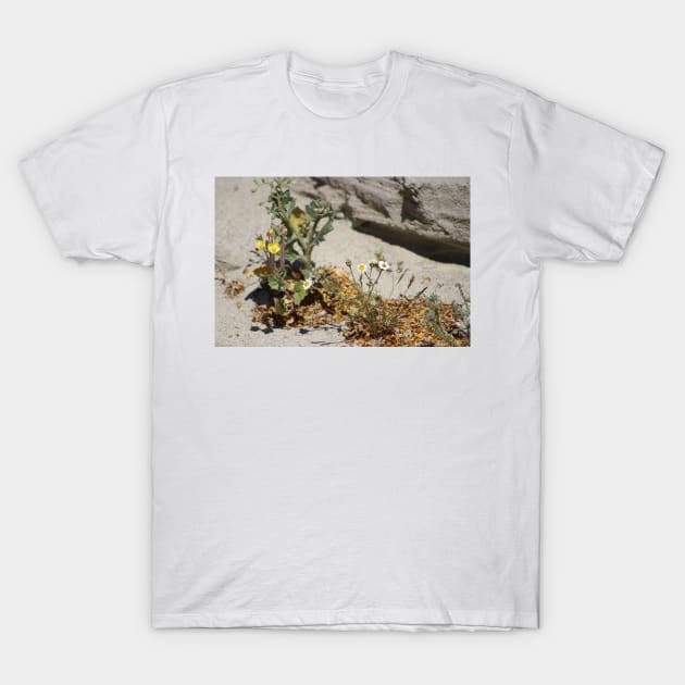 Closeup of Small Desert Wildflowers T-Shirt by ButterflyInTheAttic